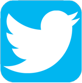 Keep up with NAFA Flyball on Twitter!