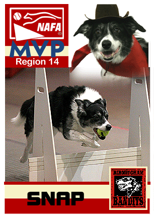 Region 14 - Snap